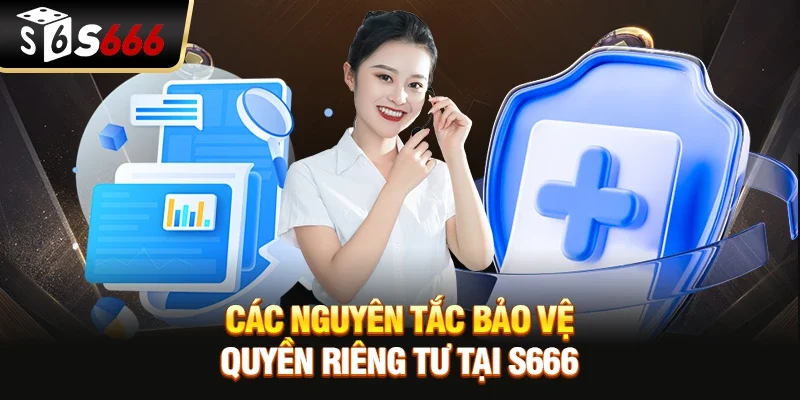 Các Nguyên Tắc Bảo Vệ Quyền Riêng Tư Tại S666
