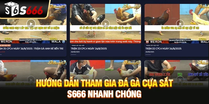 Hướng dẫn tham gia Đá gà cựa sắt S666 nhanh chóng 