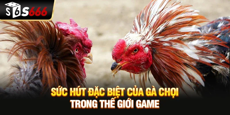 Sức hút đặc biệt của Gà chọi trong thế giới game