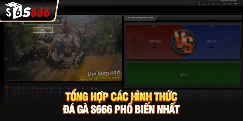 Tổng hợp các hình thức Đá gà S666 phổ biến nhất