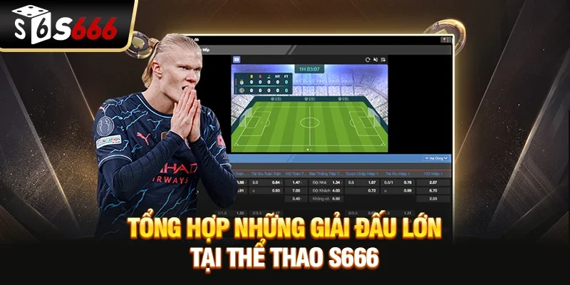 Tổng hợp những giải đấu lớn tại thể thao S666