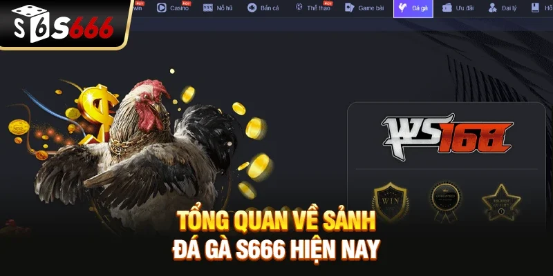 Tổng quan về sảnh đá gà S666 hiện nay